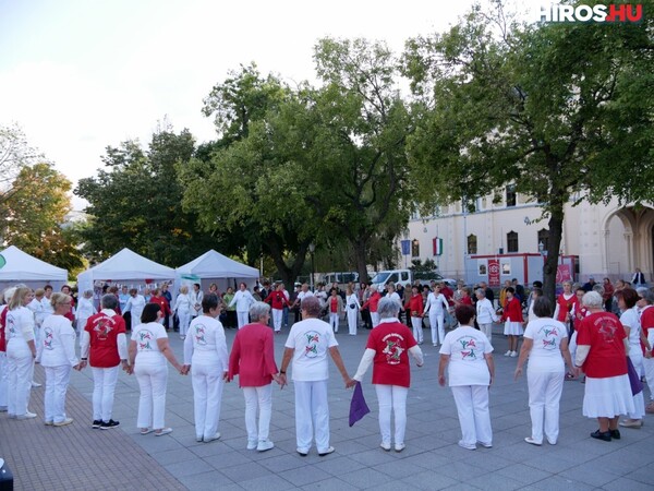 alzheimer kecskemét